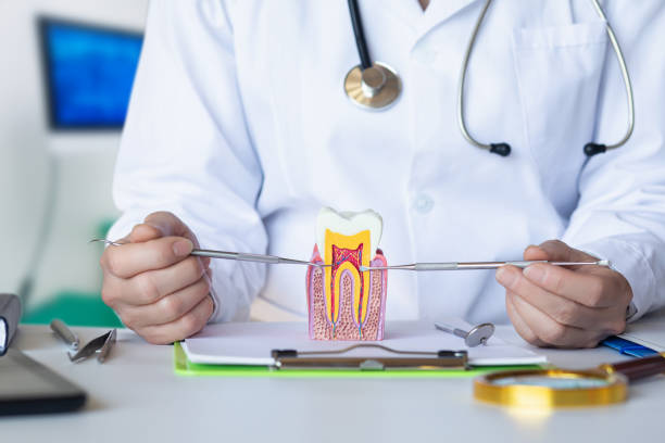 Dentist for Dental Trauma in IN
